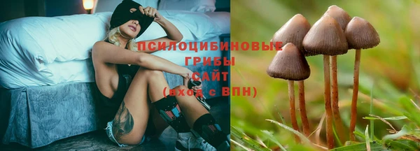 гидропоника Верхний Тагил